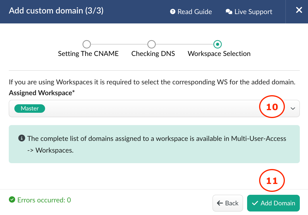 Add custom domain window showing Step 3 of 3 and how to select a workspace and click Add Domain.